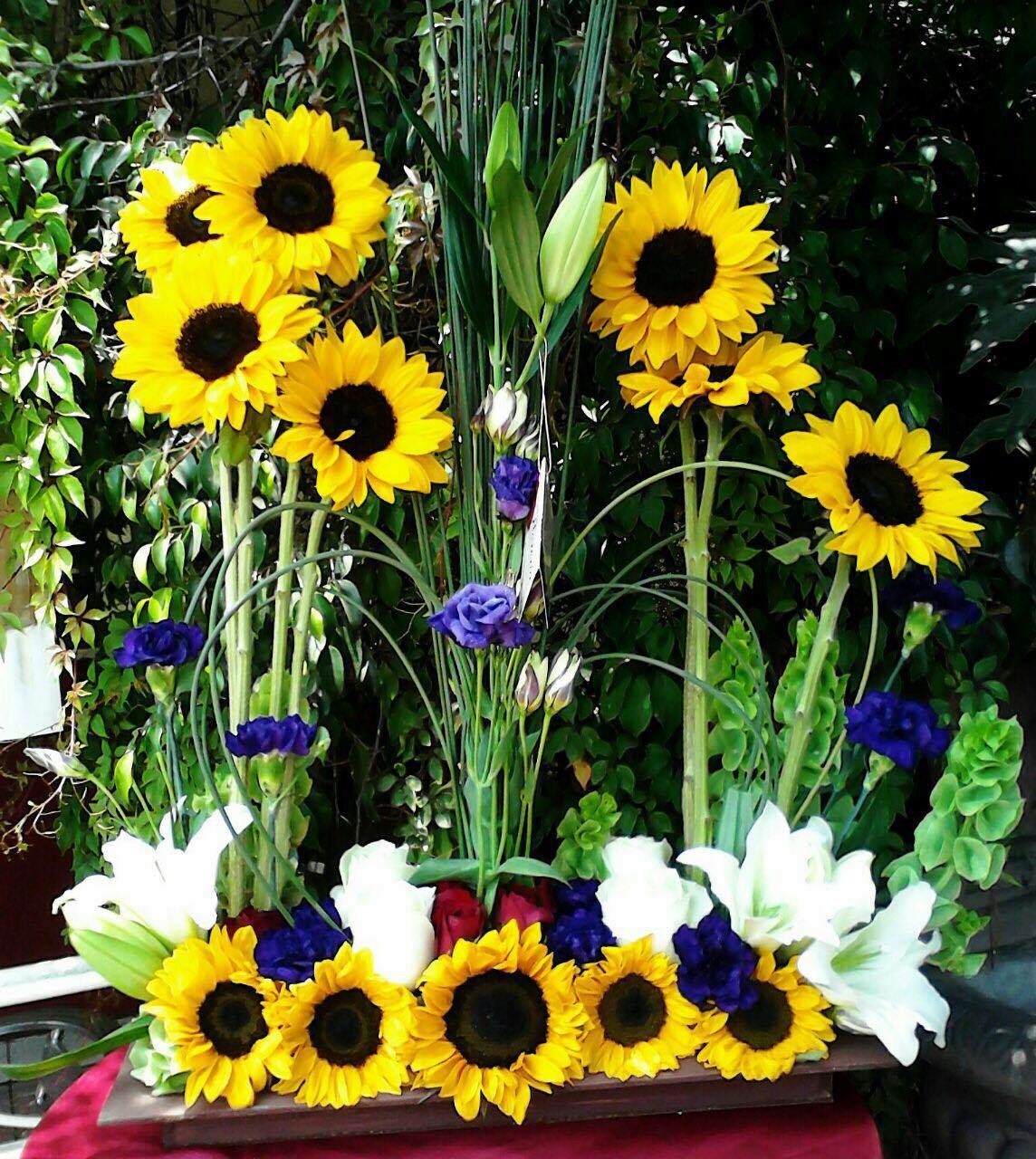 Bonita jardinera girasol y rosas