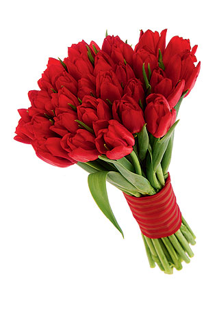 Bouquet de 20 Tulipanes Rojos #2 - Envia Flores y Regalos en Tijuana